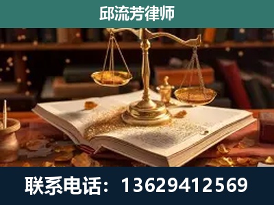 平果-刑事案件